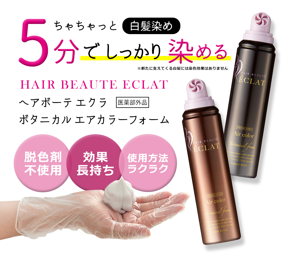 フューチャーラボ ヘアボーテ エクラ ボタニカル エアカラーフォーム 2 ...