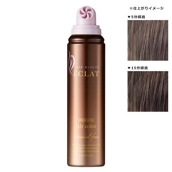 フューチャーラボ ヘアボーテ エクラ ボタニカル エアカラーフォーム 