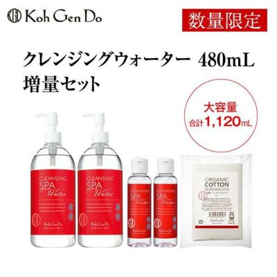 江原道オールインワンモイスチャージェル 100ｇ 3点＋クレンジング 江原道 オールインワン モイスチャー ジェル リッチ / 江原道