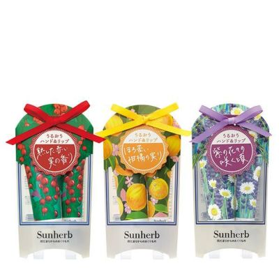 トランスダーマ ウィンターコフレ C&R 美容液 クリーム 石けん ポーチ