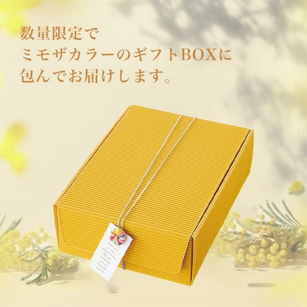 みつけたの日限定】エフパス ミモザボックス 特別限定BOX 数量限定